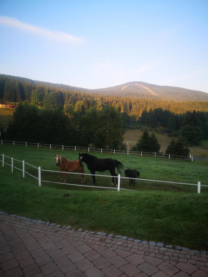 Wichrowe Wzgorze Stronie Slaskie Exterior foto