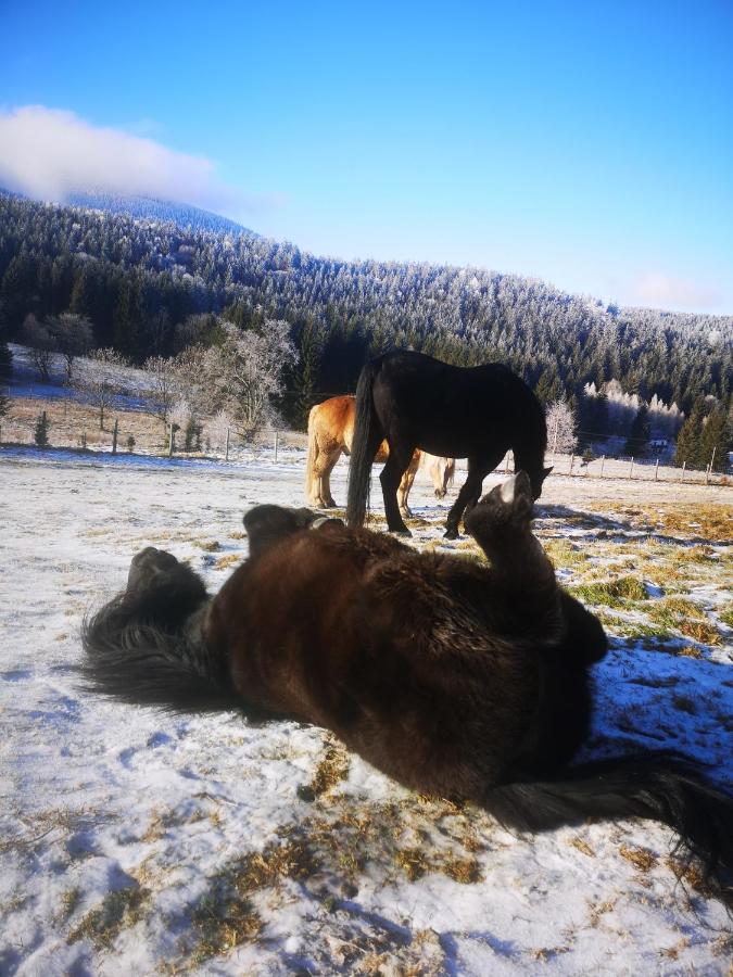 Wichrowe Wzgorze Stronie Slaskie Exterior foto