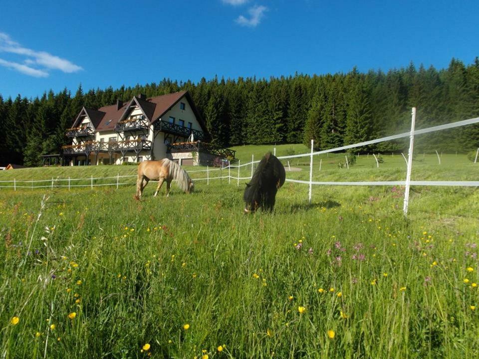 Wichrowe Wzgorze Stronie Slaskie Exterior foto